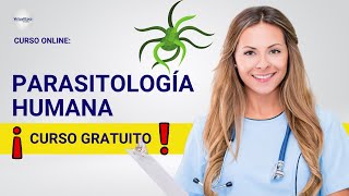 🔴 CURSO PARASITOLOGÍA HUMANA ǀ COMPLETO Y GRATIS 2024 ✅ PARTE 2 [upl. by Blackstock56]