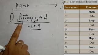 pentanoic acid class 10 [upl. by Akerehs]