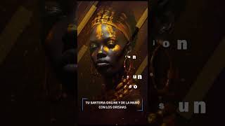 Oya Yansa Dice 🌬️🌪️🖤❤️ oya oyayansa yansa orishas orixa yoruba santeria [upl. by Zobias]