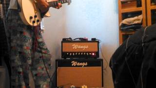 Wangs amps OD30 all tube head [upl. by Derraj]