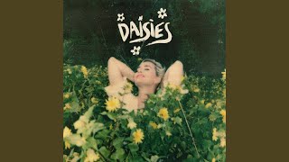 Daisies [upl. by Priest]