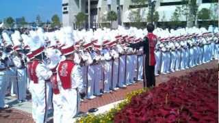 University of South Carolina Gamecock Marching Band [upl. by Nauqed300]