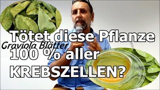 Diese PFLANZE kann 100  der KREBSZELLEN bekämpfen [upl. by Karlee969]