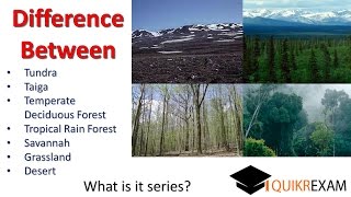 Difference between tundra taiga temperate tropical rain forest Savannah grassland desert [upl. by Brittney]