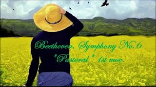 Beethoven Symphony No 6 quotPastoralquot 1st Mov 전원 교향곡 [upl. by Oleta]