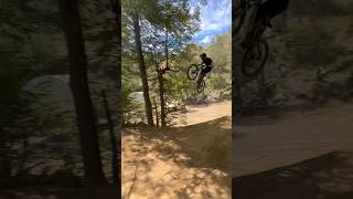 Bikepark Nevados De CHILLAN ⚡️⚡️ mtb downhill enduro bike [upl. by Chapel]