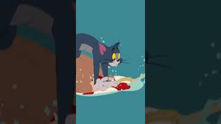 Well At Least Theres No Sharks Tom and Jerry  BoomerangUK  shorts [upl. by Kreindler]