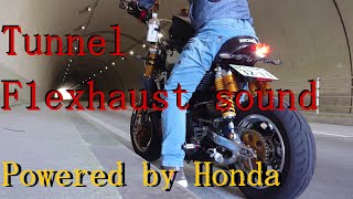 ゴリラ250cc トンネルサウンド HONDA Gorilla 250cc Tunnel F1 Exhaust Sound CBR 250R Mc17 Engine [upl. by Aikemal]