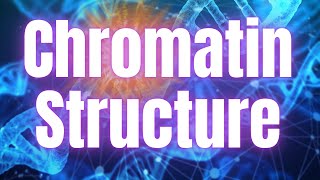 The Structure of Chromatin [upl. by Maunsell810]