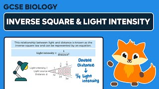 Inverse Square Law amp Light Intensity in Photosynthesis  GCSE Biology [upl. by Assylla637]