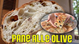 1 video 2 RICETTE  PANE  FOCACCIA ALLE OLIVE [upl. by Aisset]