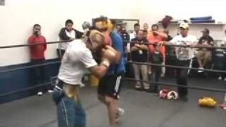 Juan Manuel Marquez Training in Romanza Gym [upl. by Irpak]