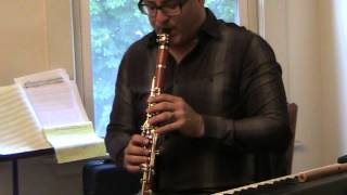 Patricola Rosewood Bb Clarinet [upl. by Bertilla]