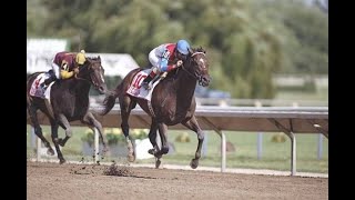 1996 Arlington Citation Challenge  Cigar  CBS Broadcast [upl. by Norvun]