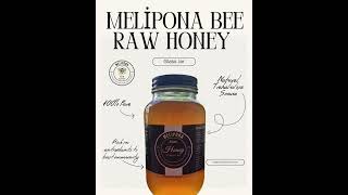 Unlock the incredible power of Melipona Bee Raw Honey [upl. by Mae644]