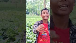 Baganiya Gaan Song Assamese Song Shorts Baganiya Baganiyasong shortsfeed Assamesesong [upl. by Quintie]