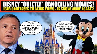 Disney CANCELLING MOVIES  Iger Confesses To quotQuietlyquot Cancelling Projects  Is Snow White GONE [upl. by Amoakuh670]