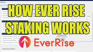 How EverRise Ver 20 Staking Works  How to Stake EverRise V2 Tokens [upl. by Cummine]