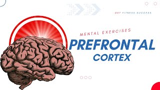 Prefrontal Cortex Exercises for Healing and Better Function [upl. by Atirres]