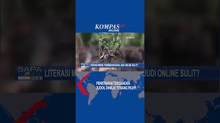 Literasi Minim Pemberantasan Judi Online Sulit [upl. by Novoj373]