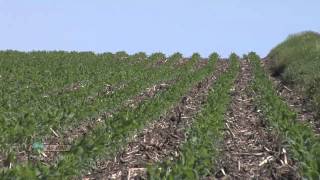 Soybean Planting 734 Air Date 42912 [upl. by Nilyahs231]