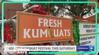 Happening This Weekend Dade City Kumquat Festival WWE Royal Rumble [upl. by Kemme923]