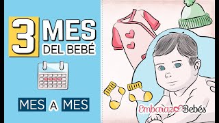 📆👶🏻 TERCER MES del bebé  3 MES  Desarrollo y cuidados [upl. by Lacym]