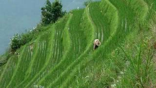 Longsheng terrazas de arroz en Chinawmv [upl. by Adnohs]