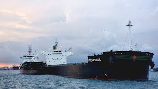 shipspotting big bulk carrier ships [upl. by Shara784]