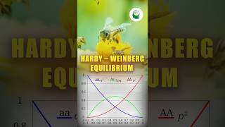 🛑HARDYWEINBERG EQUILIBRIUMplantbreeding icarsrf icarjrfgeneticscuet education agriculture [upl. by Caron]