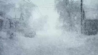 Winter Snowstorm amp Wind Sounds for Sleeping At A Small Street In America┇Howling Wind amp Blowing Snow [upl. by Elleirb867]