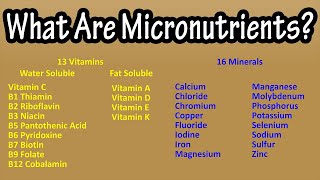 What Are Micronutrients Vitamins And Minerals Explained  RDA For Vitamins And Minerals [upl. by Clough]