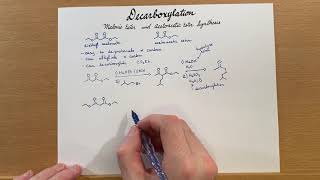 Decarboxylation Malonic Ester and Acetoacetic Ester Synthesis [upl. by Ahsekyw]