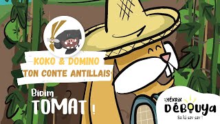 Bidim Tomat   Les aventures de Koko et Domino [upl. by Herwin]