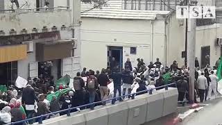 Tiaret  manifestation des médecins contre le prolongement du mandat de Bouteflika [upl. by Anigar]