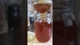 Strangely Satisfying Honey  Time Lapse [upl. by Perreault]