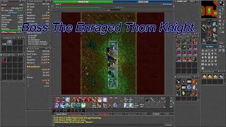 Boss The Enraged Thorn Knight Tibia [upl. by Jacquelin]