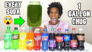 I Mixed Every Type Of Soda amp Chugged It INSANE [upl. by Taran]