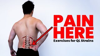 QL Strains  How to do exercises for a quadratus lumborum strain and low back pain [upl. by Haden]