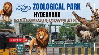 Nehru Zoological Park  In Hyderabad  Hyderabad Zoo Park  Jungle Safari [upl. by Zelda]