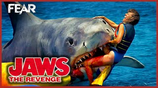 Jaws The Revenge 1987 REVIEW  JAWS MONTH [upl. by Breanne]