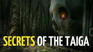 Shocking secrets of the Russian taiga [upl. by Aillicsirp]