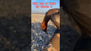 Yeh kon c murghabi hy dosto  duck hunting [upl. by Carlota982]