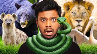 Biriyani Man visits Vandalur Zoo [upl. by Notnel]