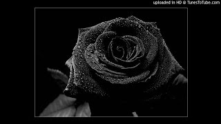 Nashville Black roses [upl. by O'Connor626]