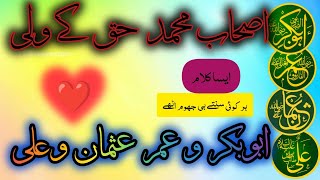 Beautiful New KALAM 2024Ashab e Muhammad Haq Kay Wali [upl. by Adnaloy468]