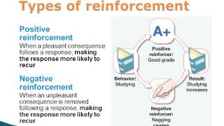 Operant Conditioning Positive and Negative Reinforcement and Punishment [upl. by Artamas]