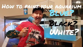 How to amp what colour to paint your aquarium background [upl. by Weiman922]