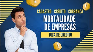 Dica de Crédito  MORTALIDADE DE EMPRESAS NO BRASIL [upl. by Denny]