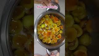 TANE TANE KAYISI REÇELİ  ABONE OL 💖 SUBSCRIBE food reçel jam jamrecipe reçeltarifleri shorts [upl. by Wendalyn]